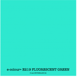 e-colour+ E219 FLUORESCENT GREEN Rolle 1.22 x 7.62m