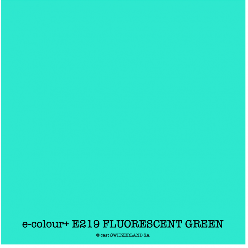 e-colour+ E219 FLUORESCENT GREEN Bogen 1.22 x 0.50m