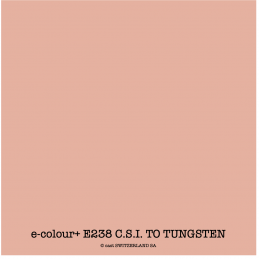 e-colour+ E238 C.S.I. TO TUNGSTEN Bogen 1.22 x 0.50m