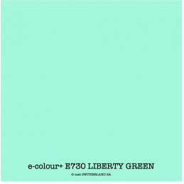 e-colour+ E730 LIBERTY GREEN Bogen 1.22 x 0.50m
