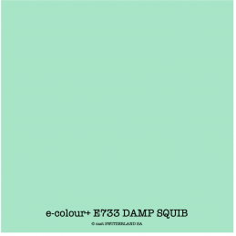 e-colour+ E733 DAMP SQUIB Feuille 1.22 x 0.50m