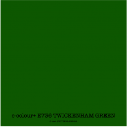 e-colour+ E736 TWICKENHAM GREEN Bogen 1.22 x 0.50m