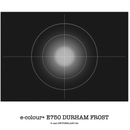 e-colour+ E750 DURHAM FROST Rolle 1.22 x 7.62m