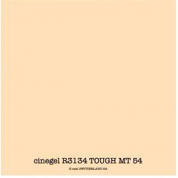 cinegel R3134 TOUGH MT 54 Bogen 1.22 x 0.50m