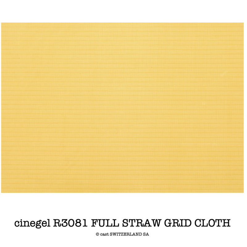 cinegel R3081 FULL STRAW GRID CLOTH Rolle 1.52 x 6.10m