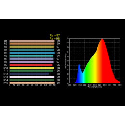 RoscoLED® Tape VariColor | RGB+WW 3000K, 5m