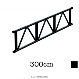 L52 Ladder | schwarz matt RAL 9005 | L= 300cm