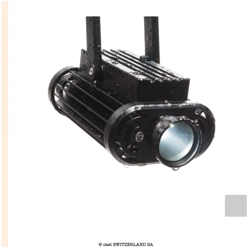 IMAGE SPOT IP65 DMX | 5500K | argent