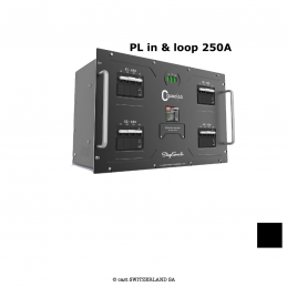 C-Quad, 250A, Powerlock in & thru, 4x63A out | 01 x Disjoncteur principal (MCCB) 3PN, 250A avec Protection contre les surcharge 