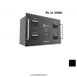 C-Quad, 250A, Powerlock in, 4x63A out | 01 x Disjoncteur principal (MCCB) 3PN, 250A avec Protection contre les surcharge par déc