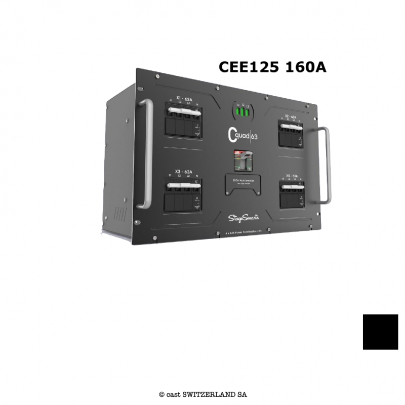 C-Quad, 160A, CEE125 in, 4x63A out | 01 x Disjoncteur principal (MCCB) 3PN, 250A avec Protection contre les surcharge par déconn