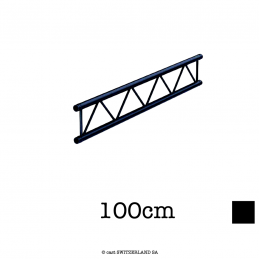 M29L-L100 Ladder | noir satiné gloss, 100cm