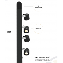 T4 Kopf HiCRI mit 4 LED-Spots | 3000K-5000K | anthrazit