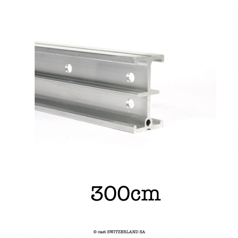 Studio Rail 60 Straight | Aluminium roh, 300cm