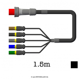 Câble d'adaptateur CEE125-5 » POWERLOCK ITT | TITANEX 5G35, 1.5m | noir