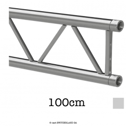 TPM29L-L100 Ladder | argent, 100cm