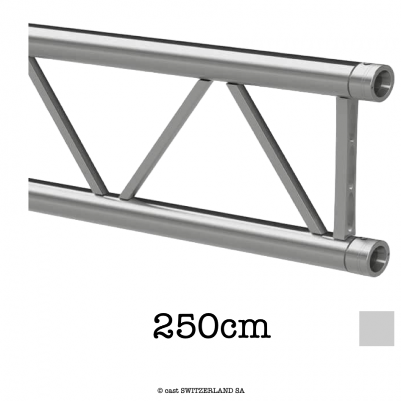 TPM29L-L250 Ladder | argent, 250cm