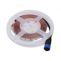 LED Tape blanche froide IP